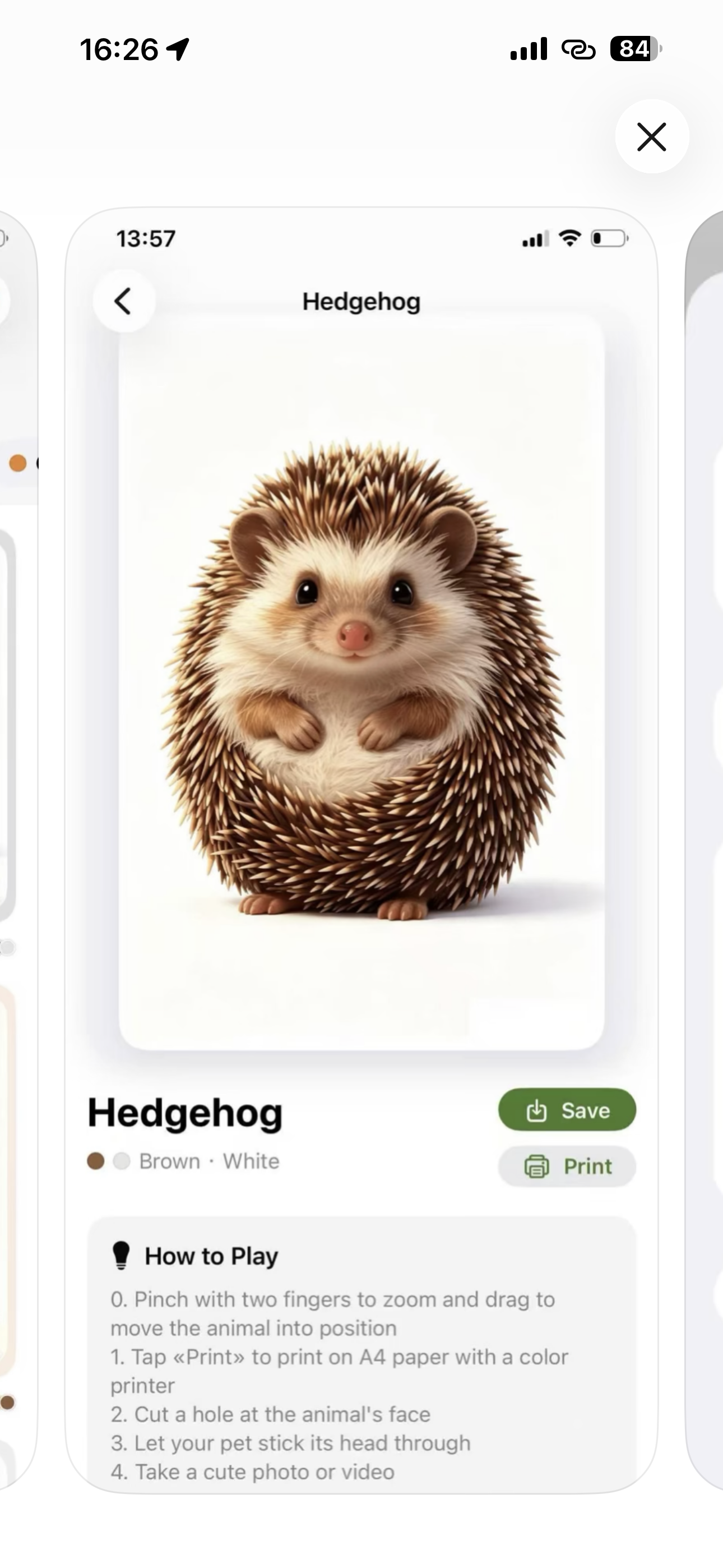 Hedgehog printable template and play instructions